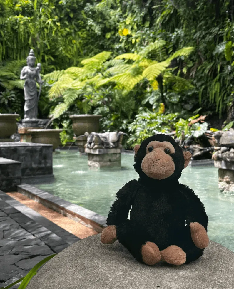 Des the Monkey, Travelling Mascot at Design Monkey